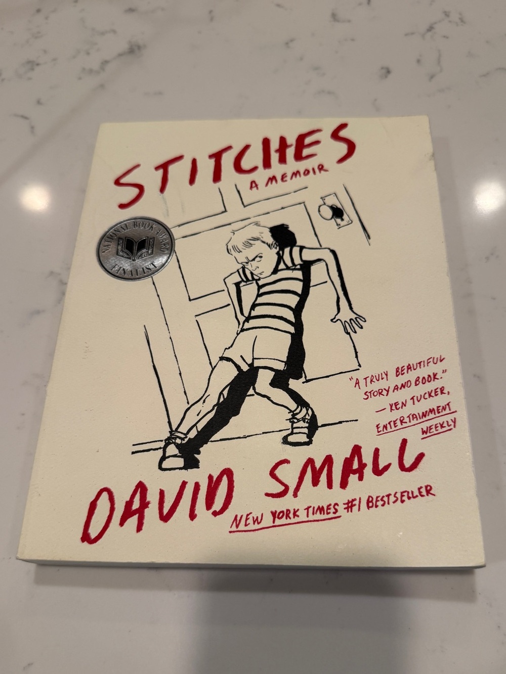 Stitches: A Memoir by David Small